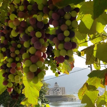 Cherry Flower Visegrad Luaran gambar